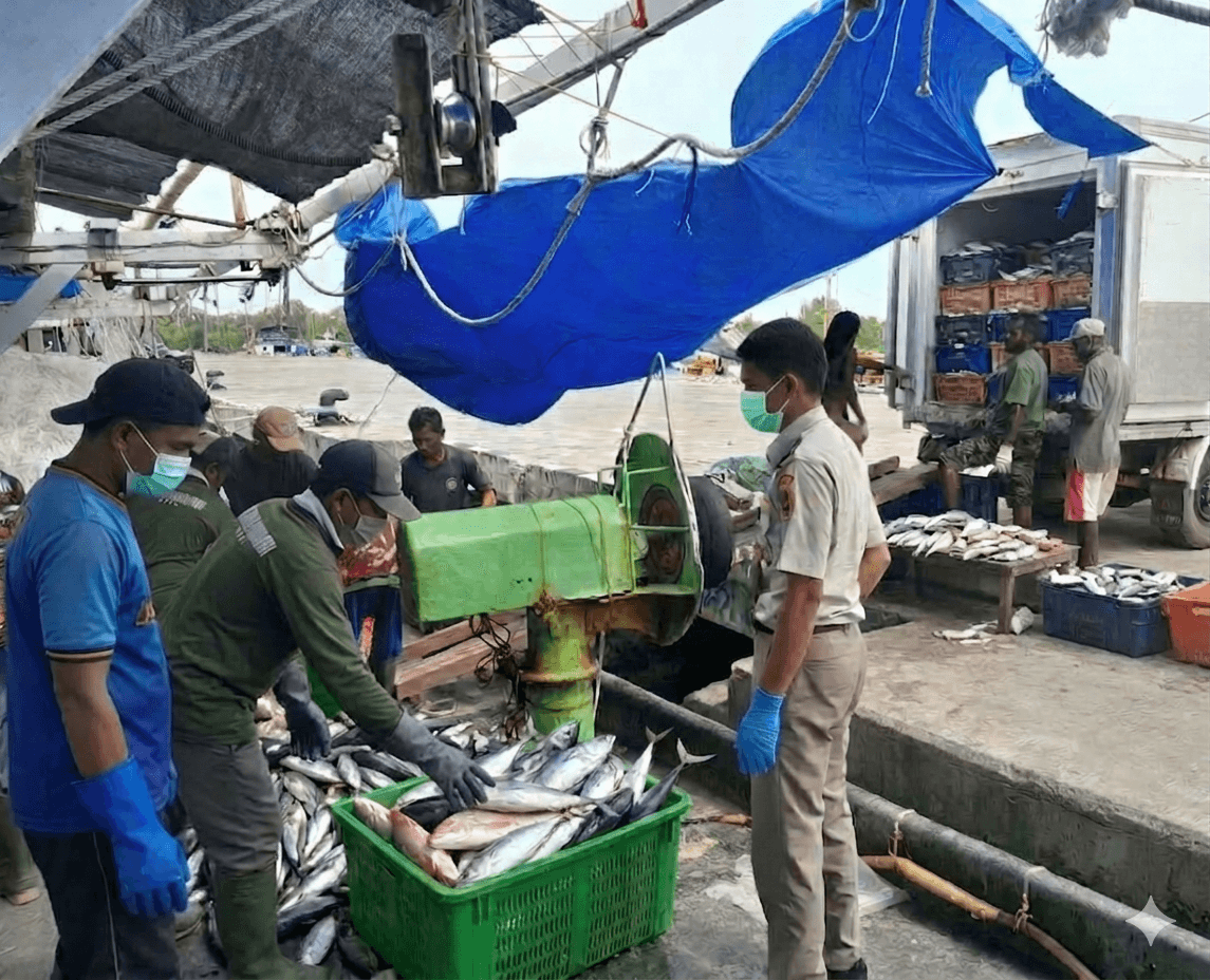 Perkuat Pasokan Pangan Nasional, Merauke Kirim 39 Ton Ikan Laut ke Jakarta