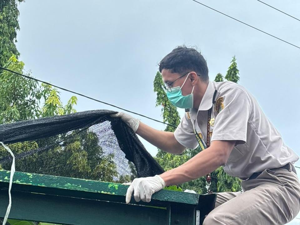 Karantina Sulbar Gagalkan Pemasukan Ilegal Seribu Bibit Tanaman Hias