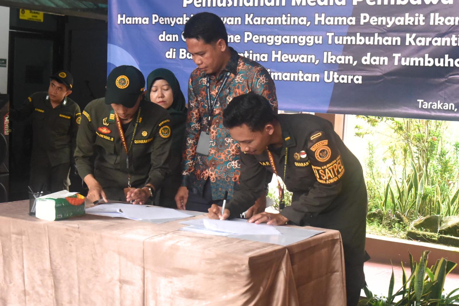 Cegah Penyebaran Penyakit, Karantina Kalimantan Utara Musnahkan 1,7 Ton Media Pembawa Tanpa Dokumen