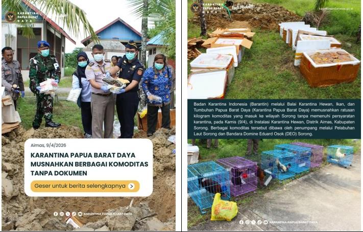 KARANTINA PAPUA BARAT DAYA MUSNAHKAN BERBAGAI KOMODITAS TANPA DOKUMEN