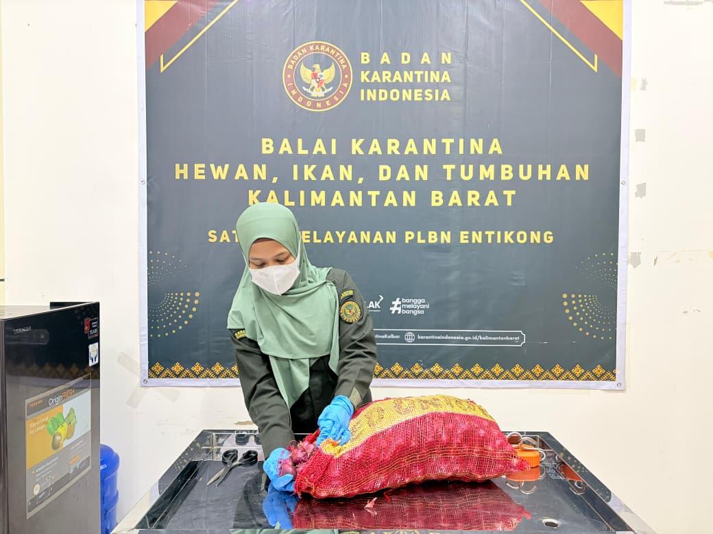 Garda Depan Perbatasan, Karantina Entikong Perketat Pengawasan di PLBN Jelang Lebaran