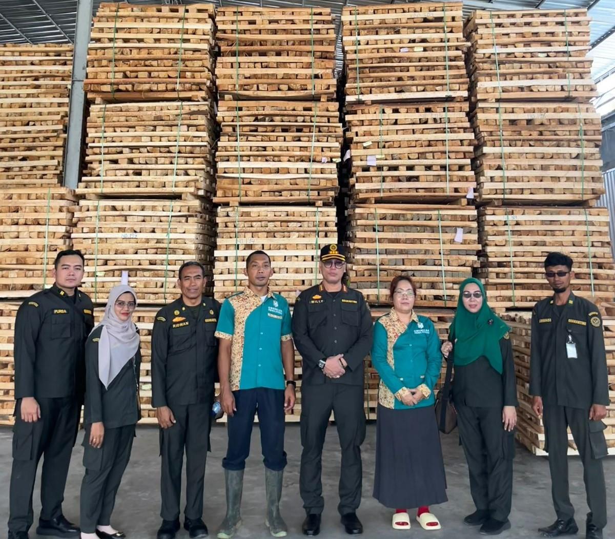 Dari Bula Menuju Pasar Dunia, Karantina Maluku Dampingi Calon Eksportir Kayu Balsa