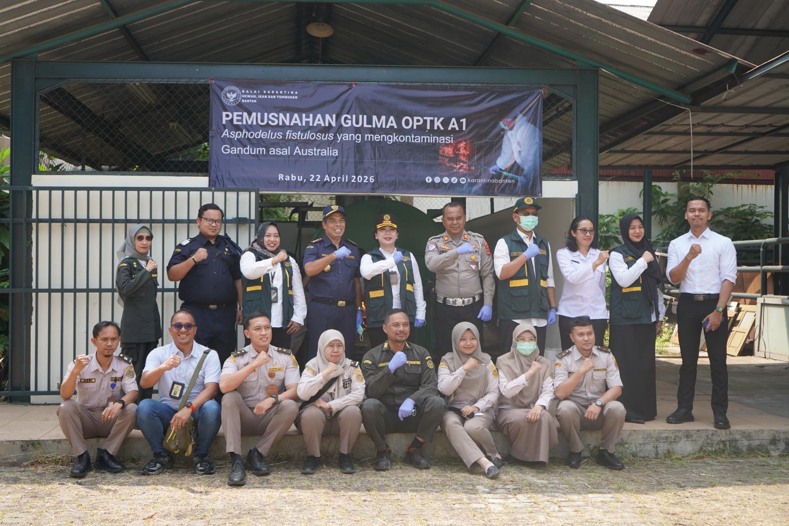 Jaga Keamanan Hayati, Karantina Banten Musnahkan Gulma Invasif Dari Australia