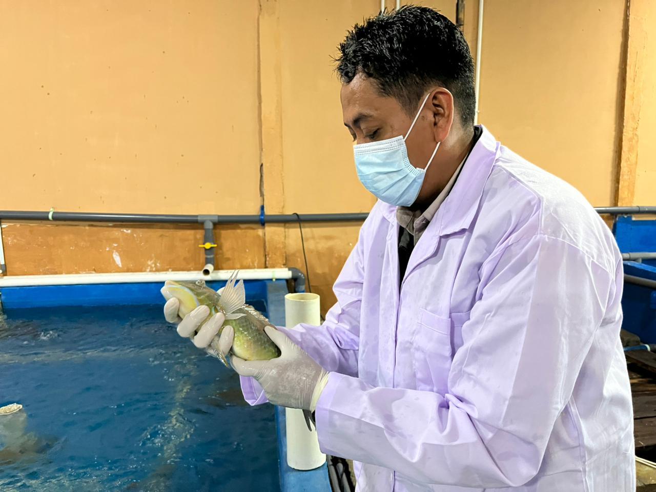 Petugas Karantina Maluku Lakukan Monitoring dan Surveilan di PT Rajawali Laut Timur