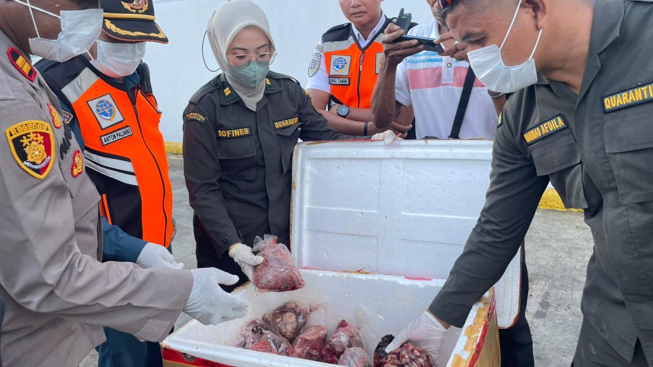 Karantina Papua Melakukan Penolakan Terhadap Pemasukan Daging Tanpa Dokumen