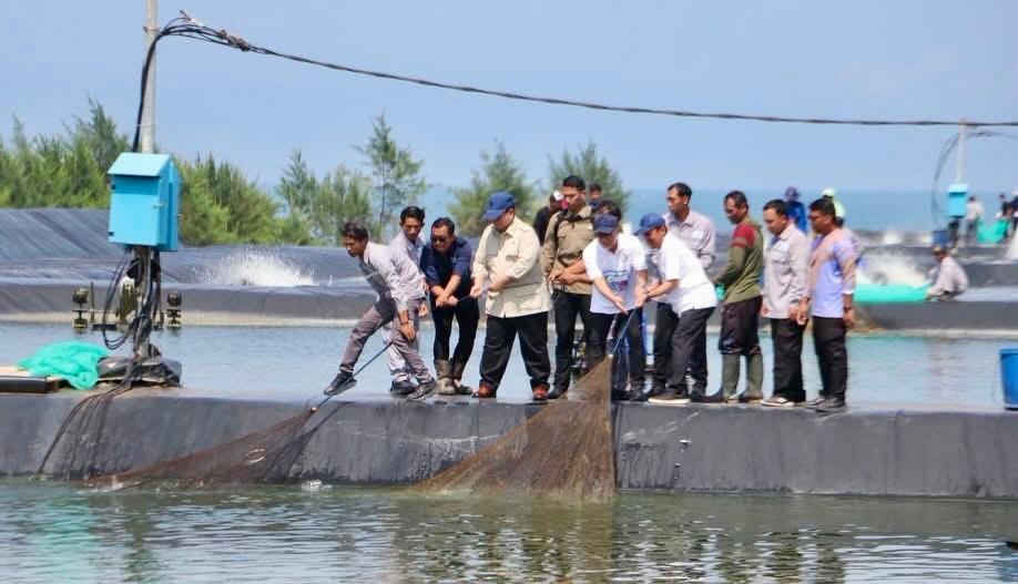 Bersama Presiden RI, Kepala Barantin Dukung Penguatan Budi Daya Udang Modern