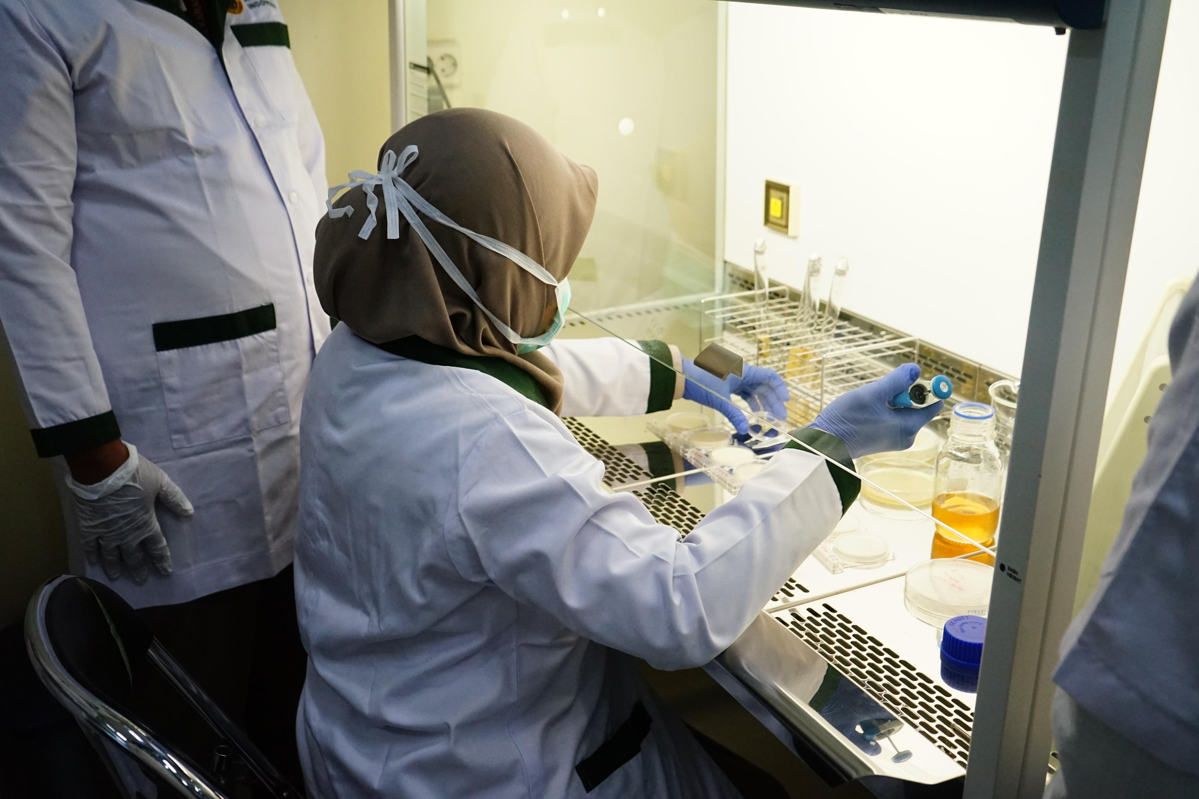 Penguatan Kompetensi SDM dalam Pengawasan Pangan dan Pakan Asal Tumbuhan