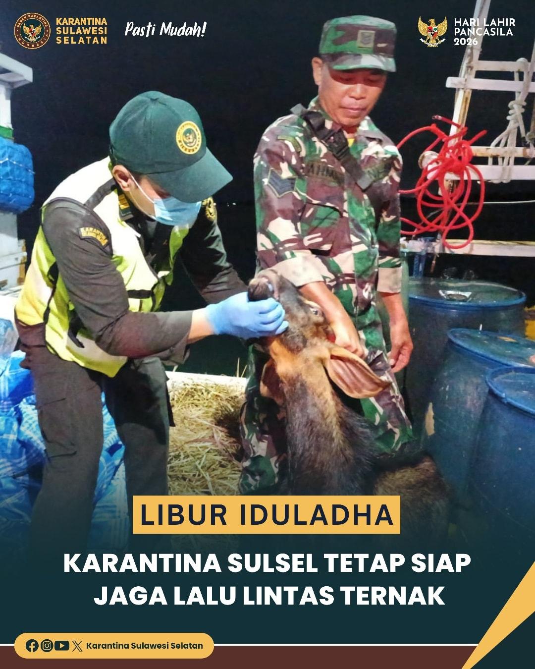Libur Iduladha, Karantina Sulsel Tetap Siap Jaga Lalu Lintas Ternak