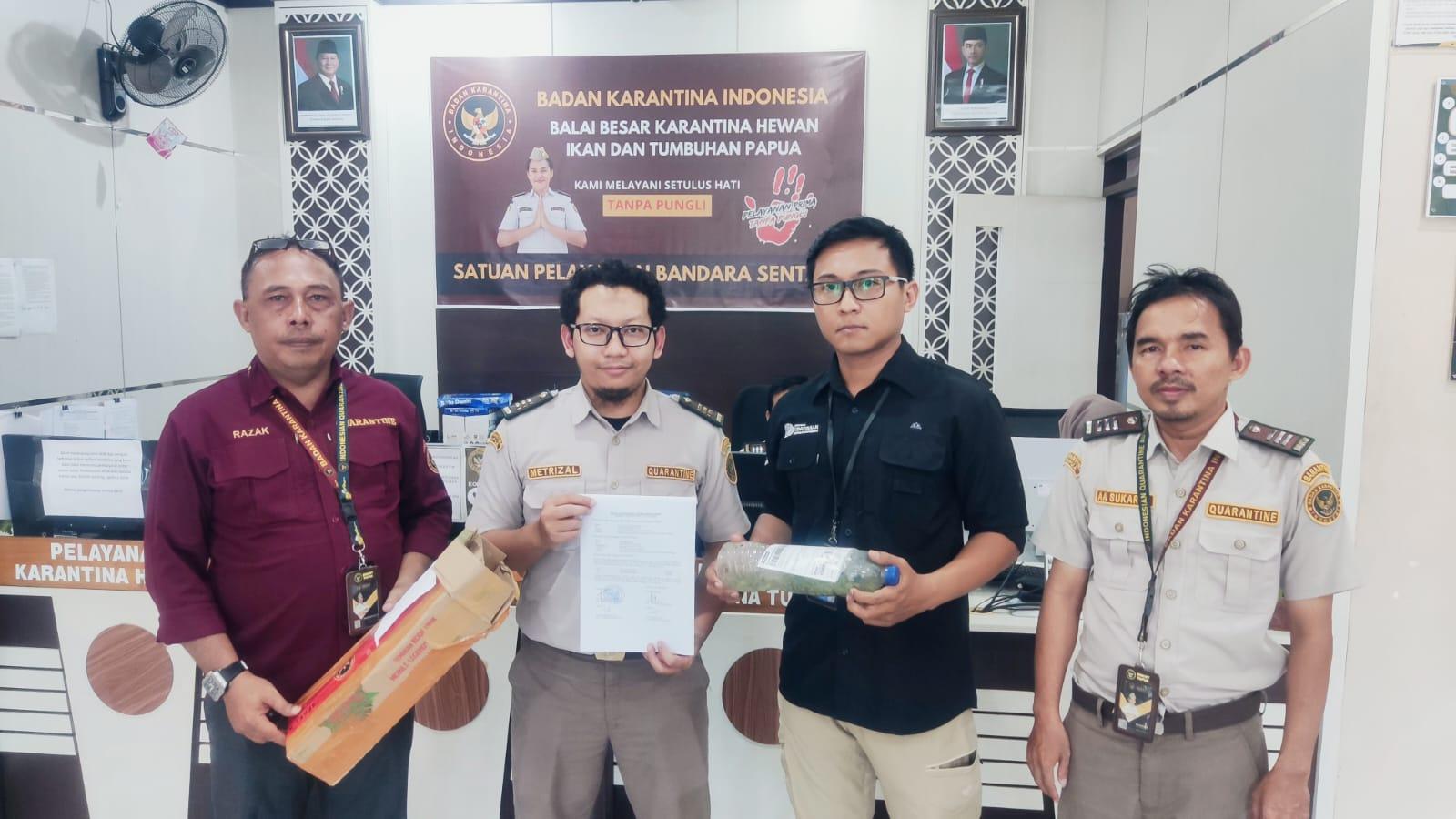Bersama Gagalkan Penyeludupan Sanca Hijau Di Bandara Sentani