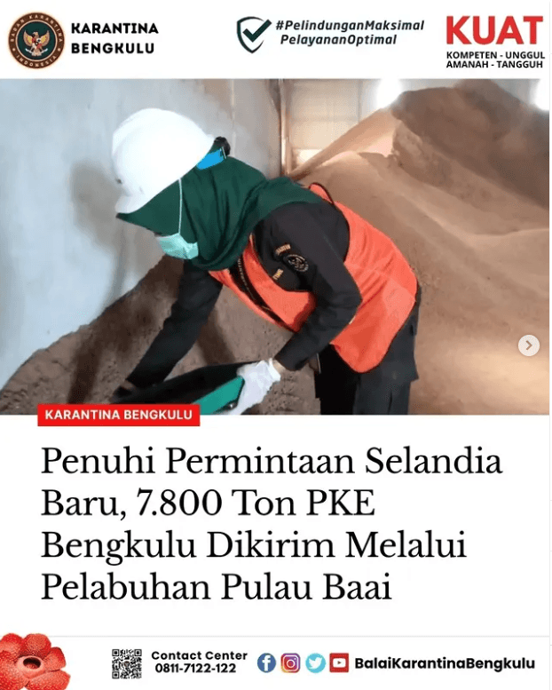 Penuhi Permintaan Selandia Baru, 7.800 Ton PKE Bengkulu Dikirim Melalui Pelabuhan Pulau Baai
