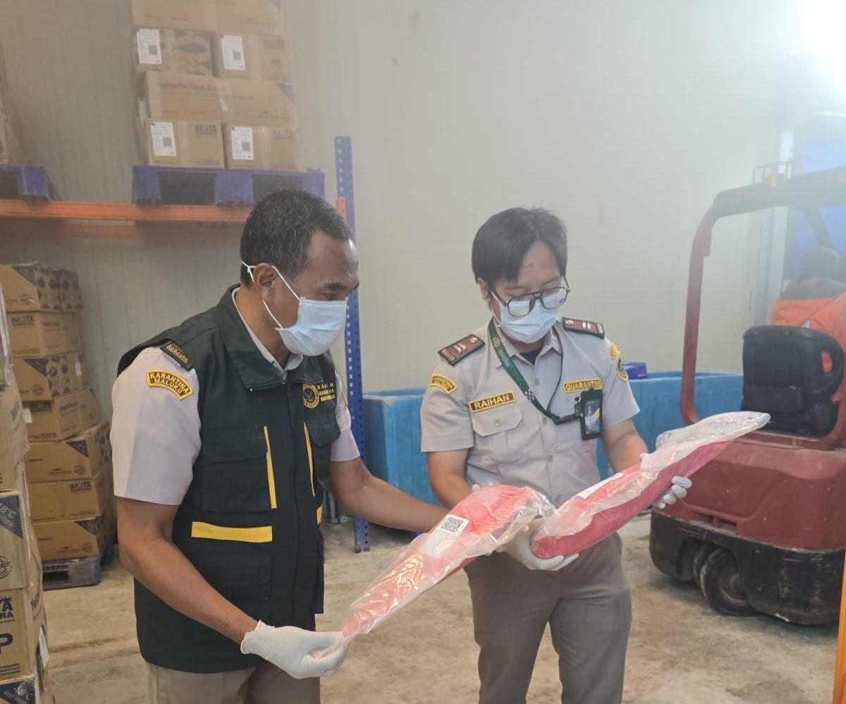 Stuffing Ekspor Tuna Loin Tujuan Vietnam di PPN Tantui Ambon