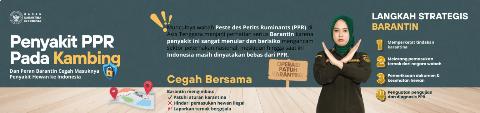 Penyakit PPR Pada Kambing