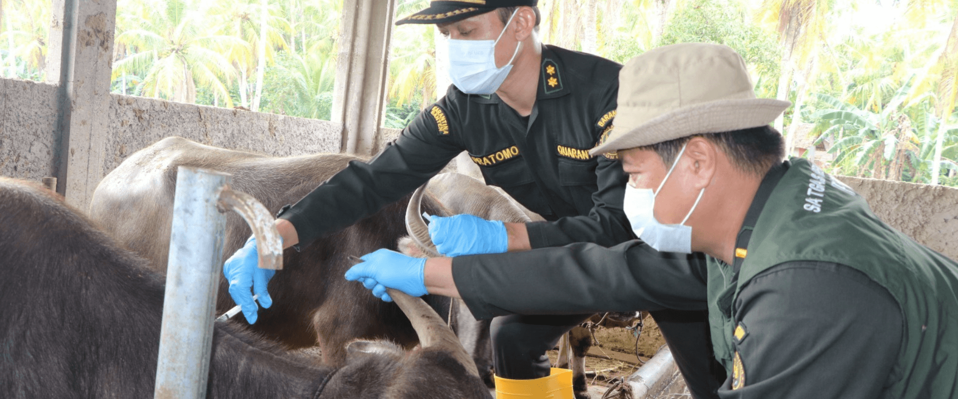 Layanan Karantina Terpadu Banten