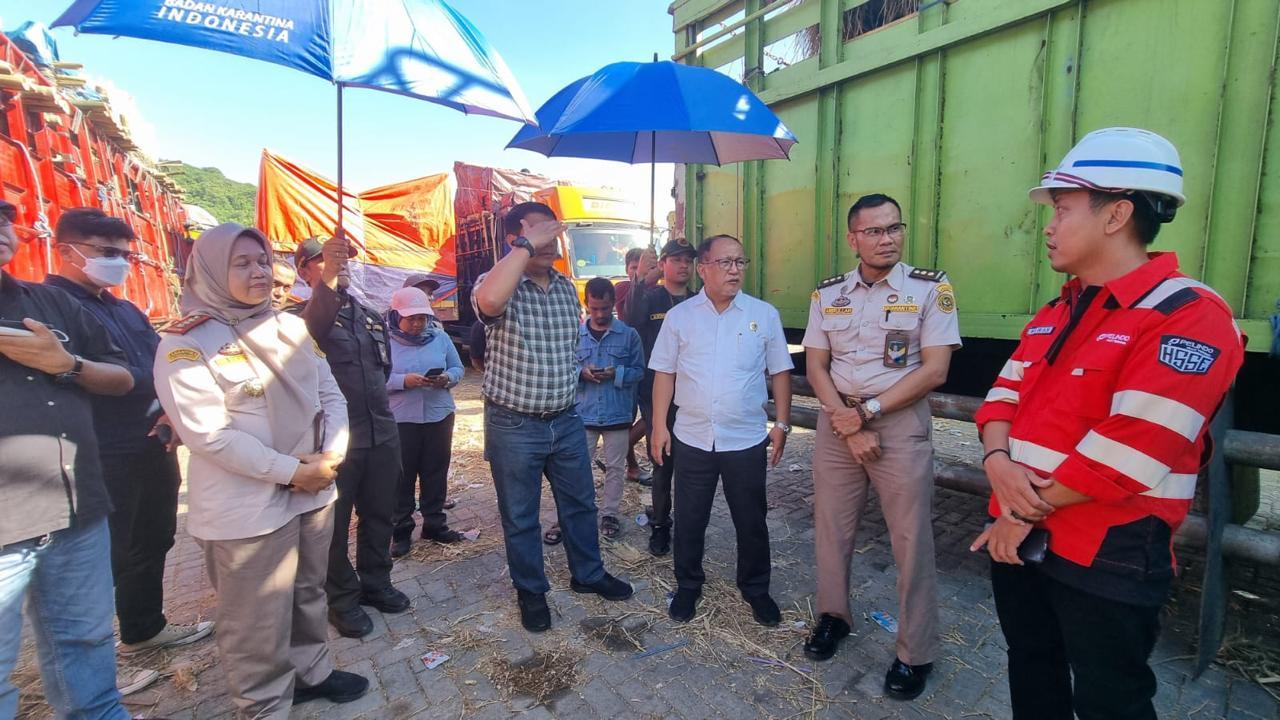 Barantin Perketat Pengawasan, Lalu Lintas 11.565 Ekor Ternak NTB Melonjak Jelang Iduladha