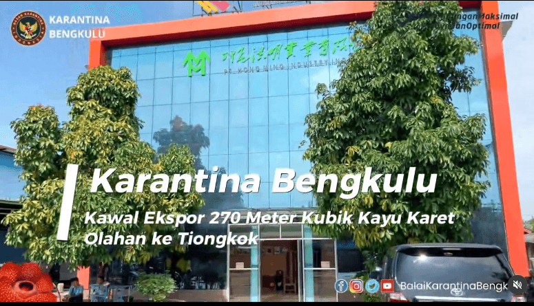 Karantina Bengkulu Kawal Ekspor 270 Meter Kubik Kayu Karet Olahan ke Tiongkok