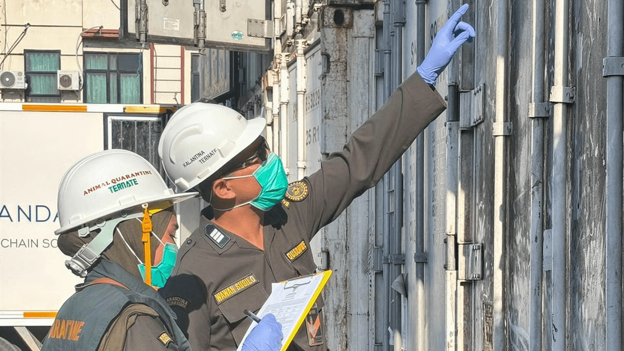 Setiap Pangan yang Aman Punya Cerita: Jejak Senyap Karantina Malut Menjaga Negeri