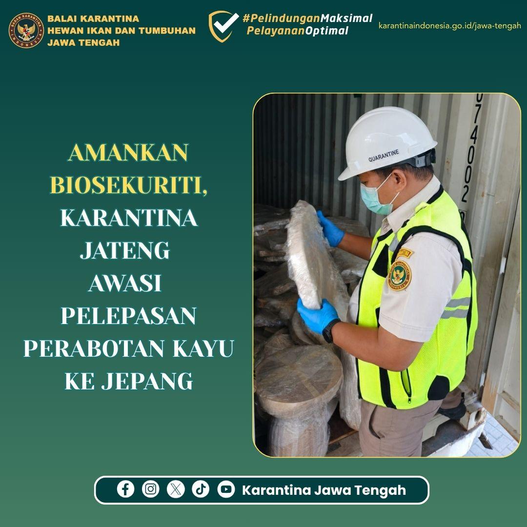 Amankan Biosekuriti, Karantina Jateng Awasi Pelepasan Perabotan Kayu ke Jepang