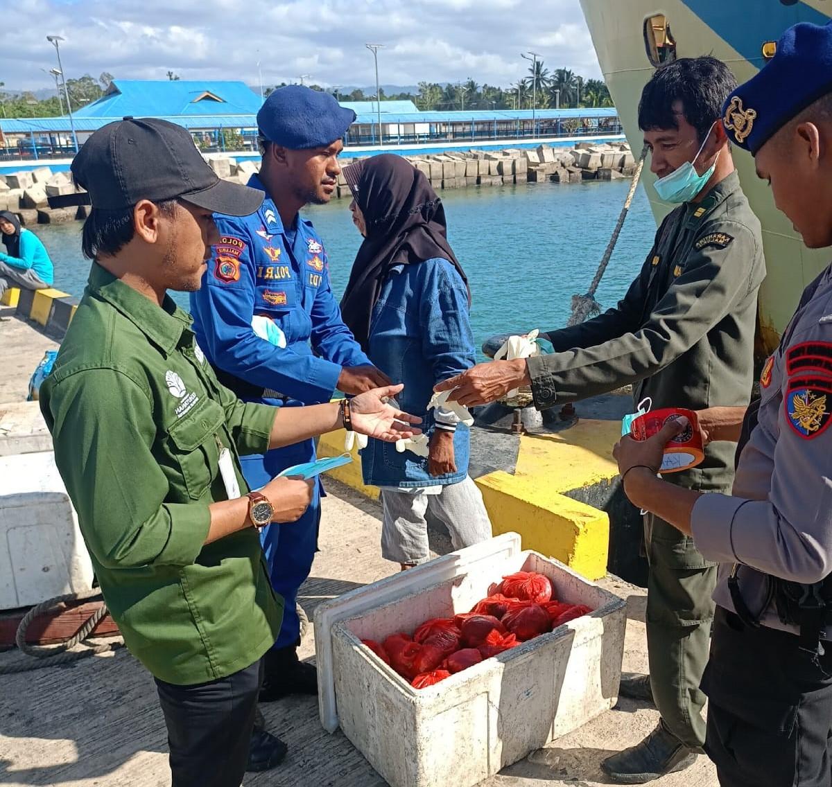 Gagalkan Peredaran Daging Satwa Dilindungi, Karantina Maluku Tahan 110 Kg Daging Rusa Timor di Pelabuhan Bula