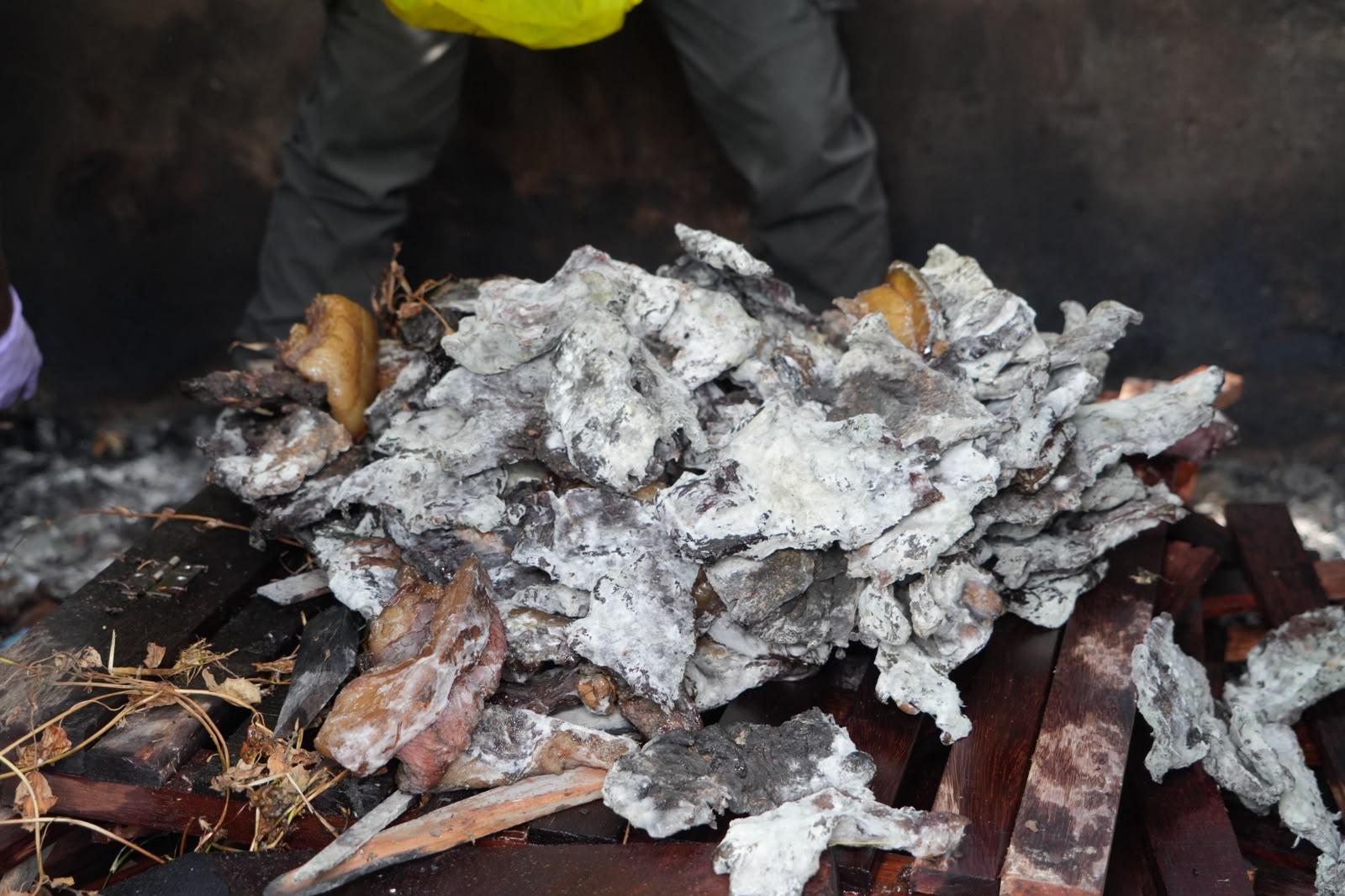 JAGA PAPUA BEBAS PMK DAN ANCAMAN INVASIF, BELASAN KILO DAGING KERBAU ASAP DAN REPTIL DIMUSNAHKAN