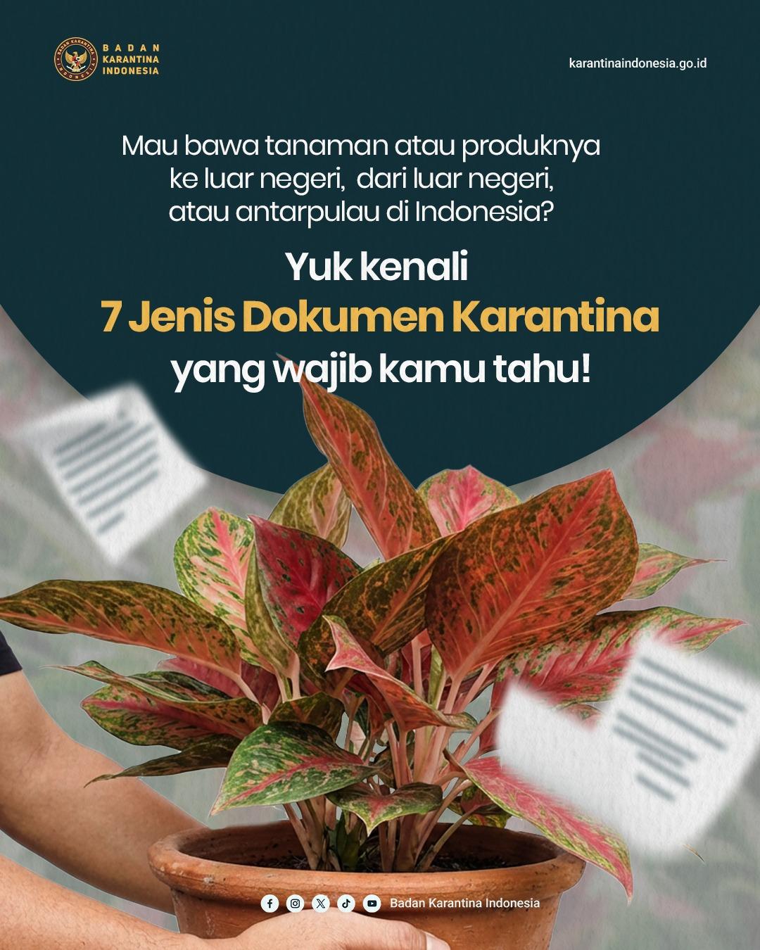 7 Jenis Dokumen Karantina Tumbuhan