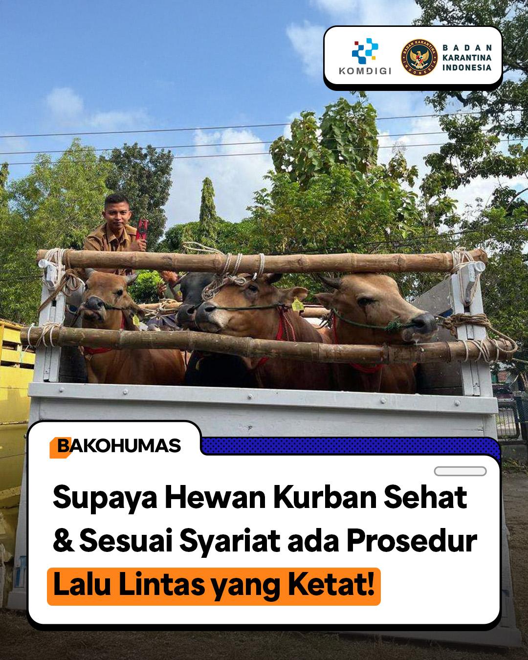 Hewan Kurban Sehat dan Sesuai Syariat