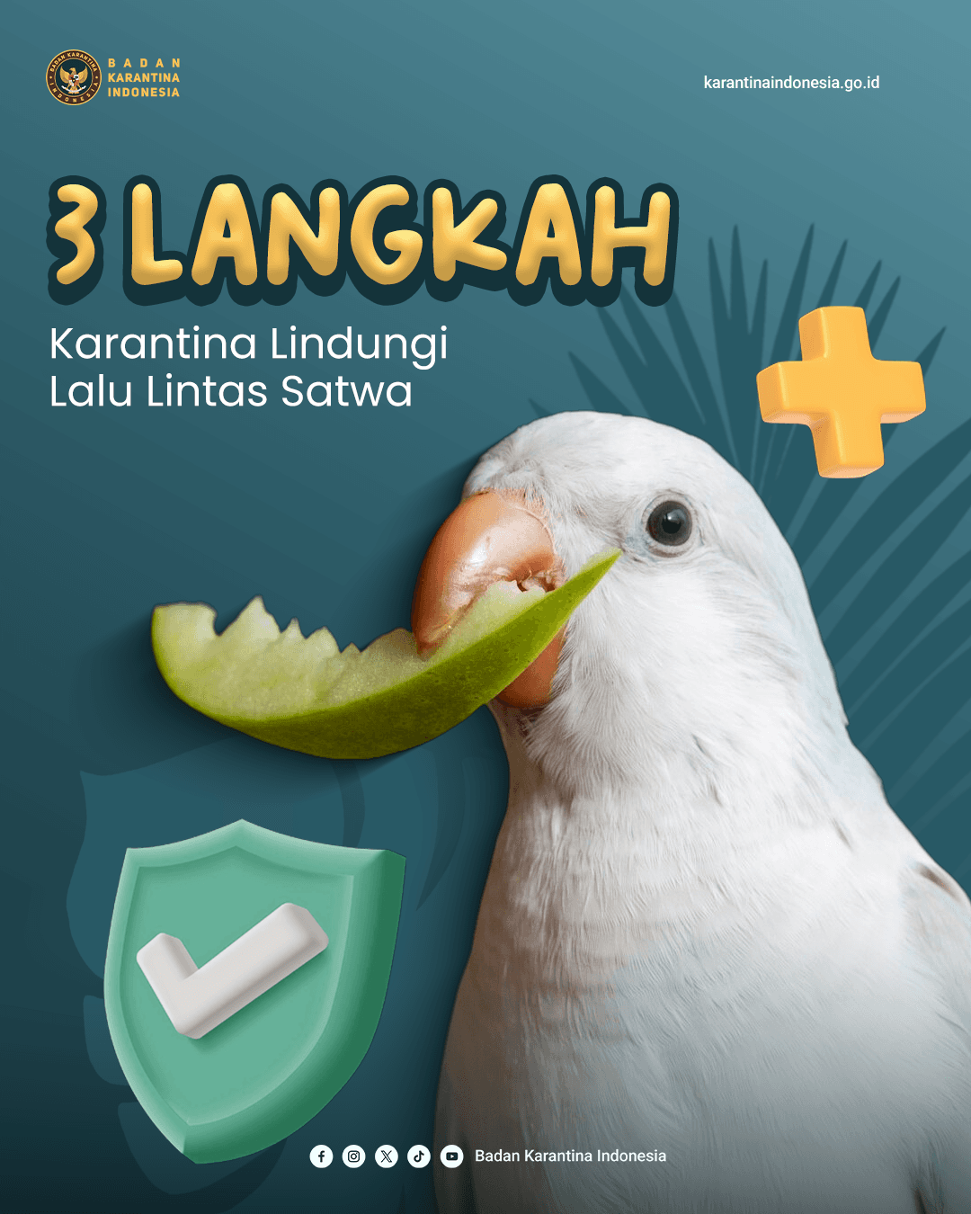 3 LANGKAH KARANTINA LINDUNGI SATWA