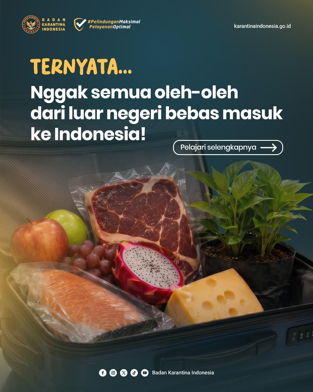 Nggak semua oleh-oleh dari Luar Negeri bebas masuk ke Indonesia!