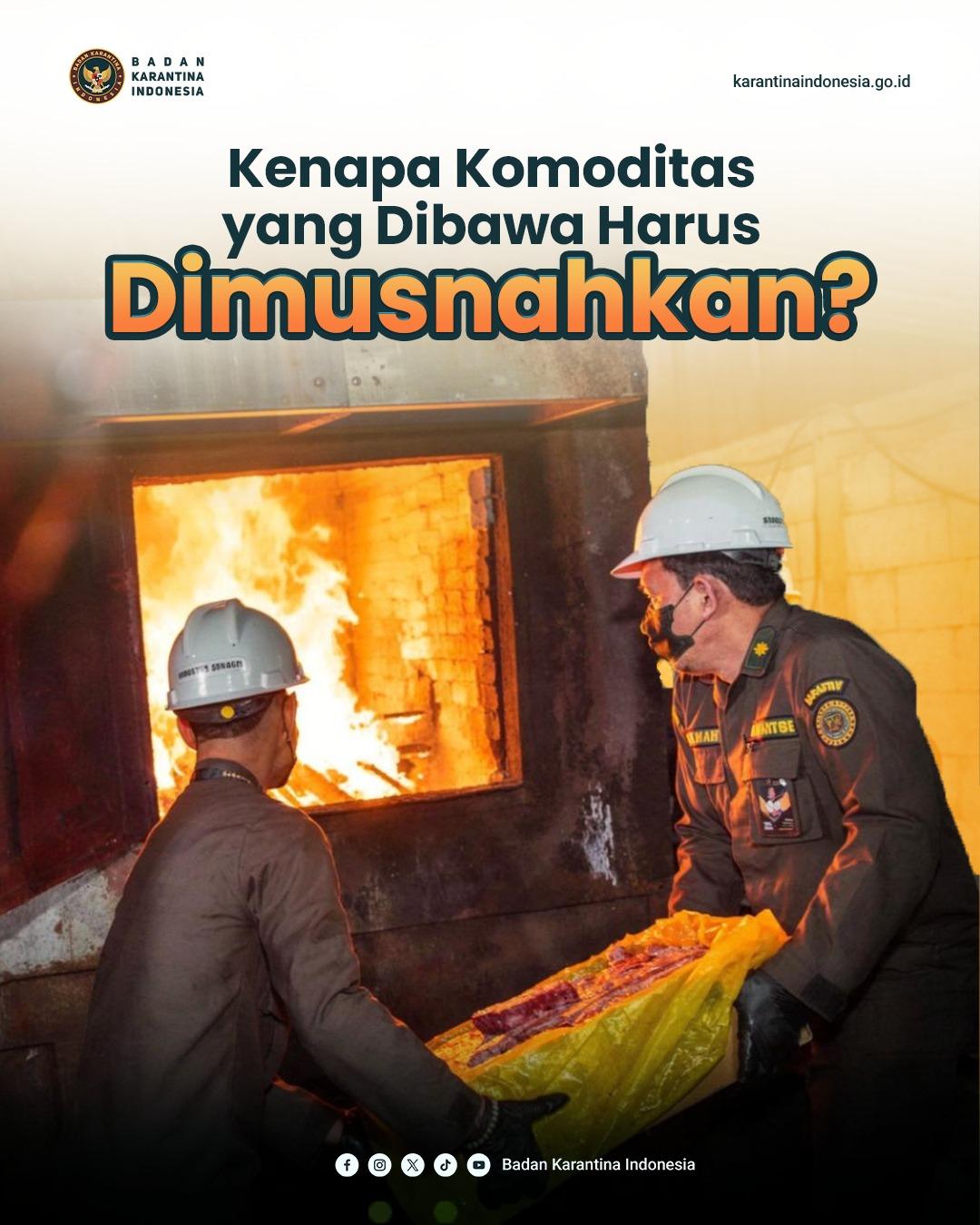 Kenapa Komoditas Hasrus Ada yang Dimusnahakan ?