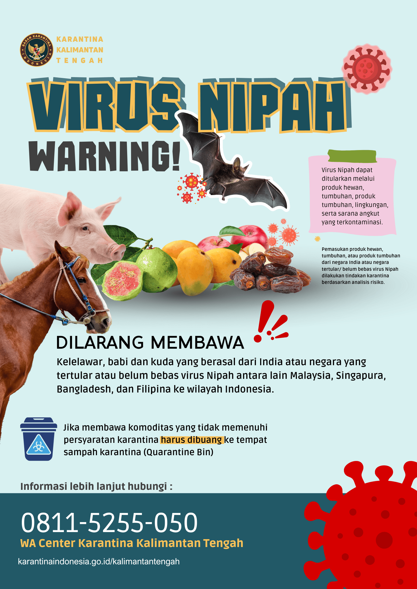 Waspada Virus Nipah