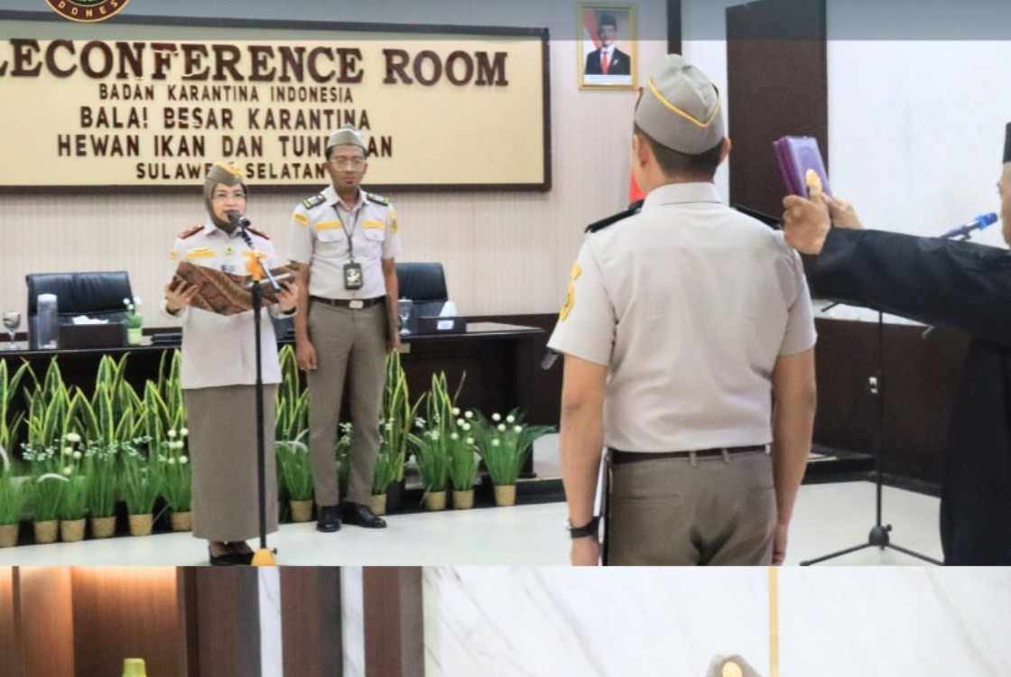 foto berita